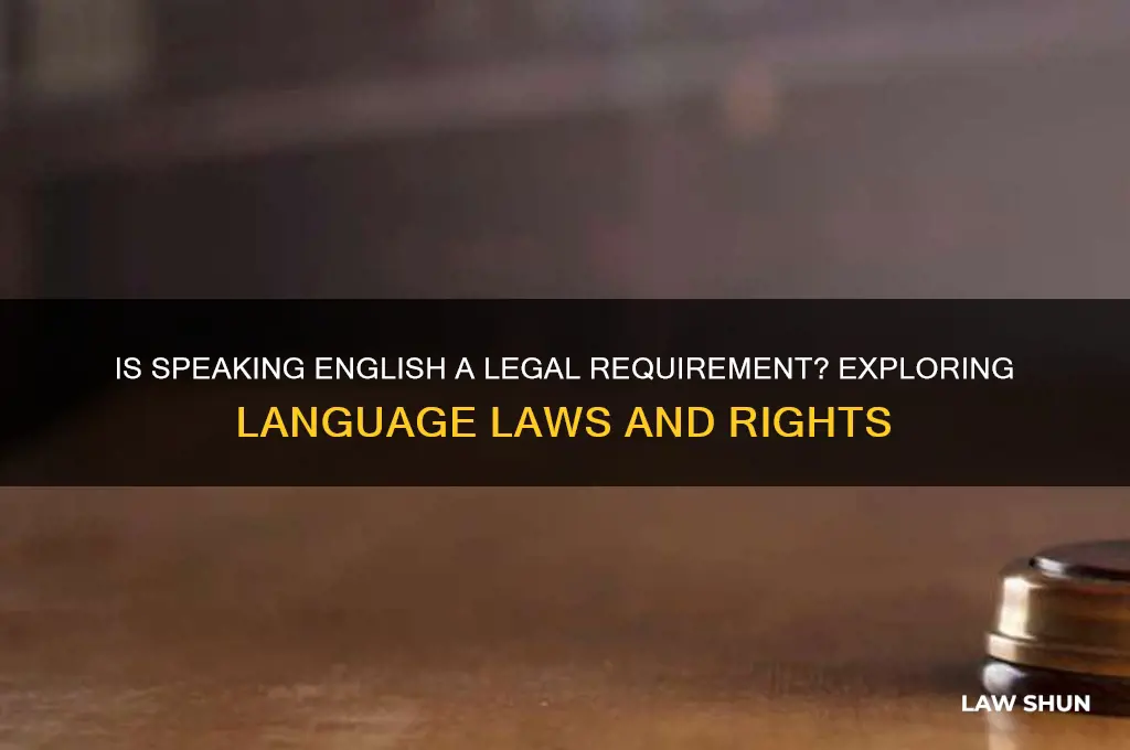 is it a law that you have to speak english
