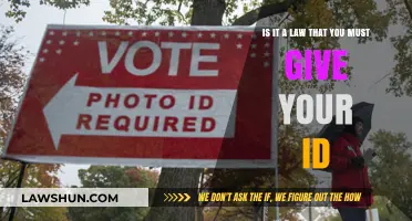 Must You Show ID? Legal Requirements Explained Simply and Clearly