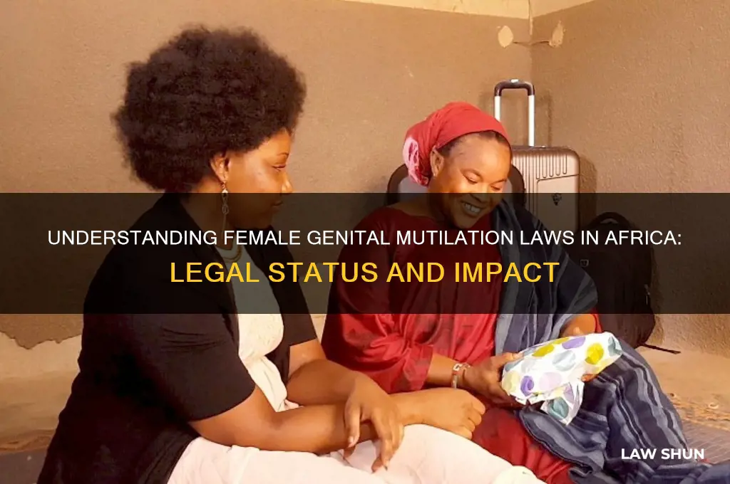 is it a law the mutilation of cloritis in africa