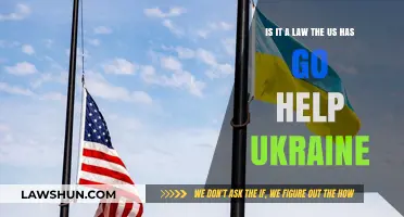 Is US Aid to Ukraine Legally Mandated? Exploring International Obligations