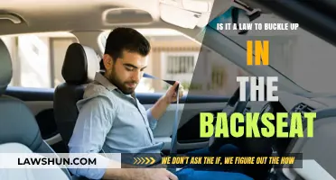 Buckle Up in the Backseat: Legal Requirement or Personal Choice?
