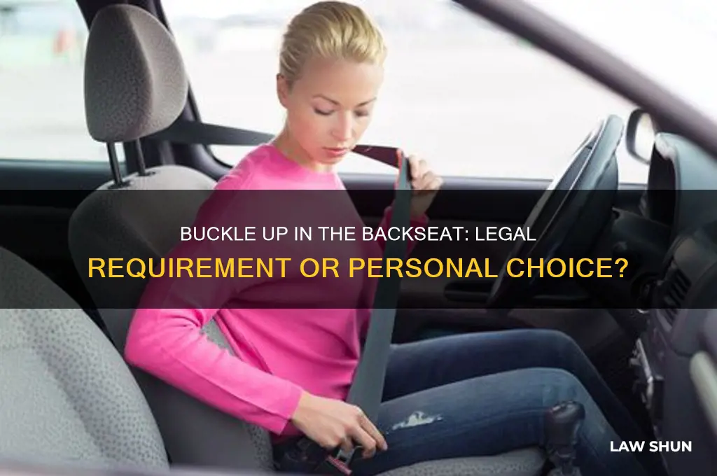 is it a law to buckle up in the backseat