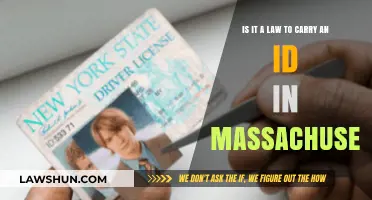Massachusetts ID Laws: Are You Required to Carry Identification?