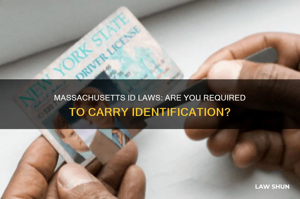is it a law to carry an id in massachusetts