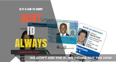 Is Carrying Government ID Mandatory? Legal Requirements Explained