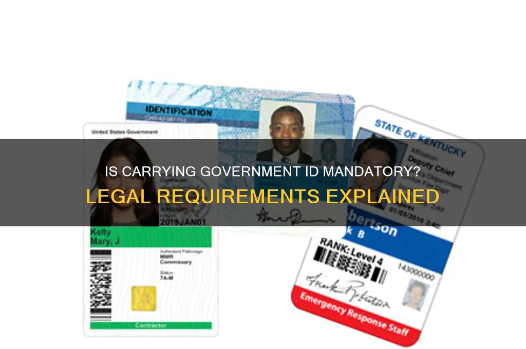 is it a law to carry govt id always