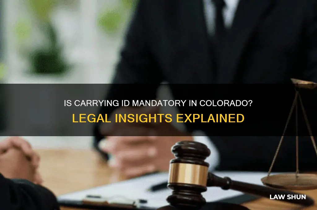 is it a law to carry id in colorado