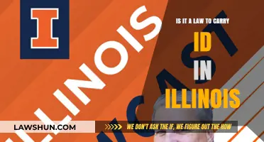 Is Carrying ID in Illinois Legally Required? Understanding State Laws