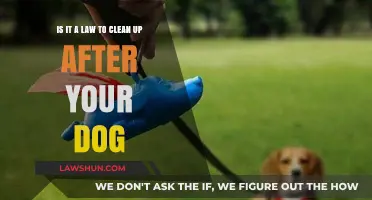 Dog Poop Laws: Are You Required to Clean Up?