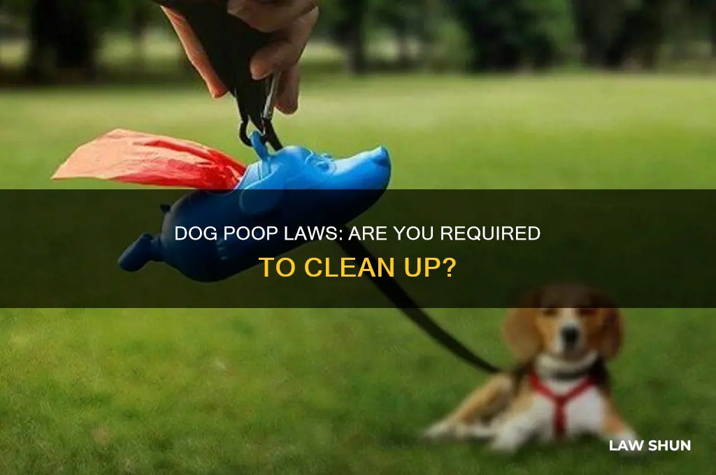 is it a law to clean up after your dog