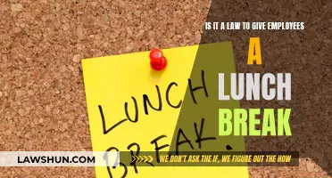 Lunch Breaks: A Legal Right for Employees?