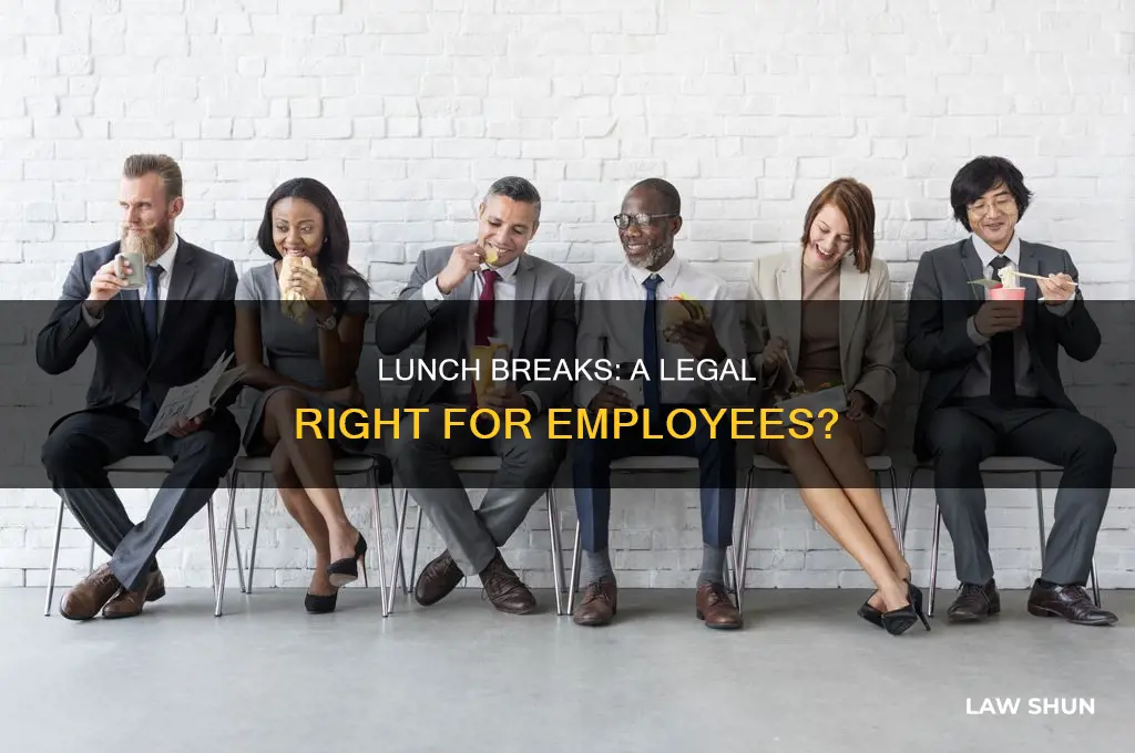 is it a law to give employees a lunch break