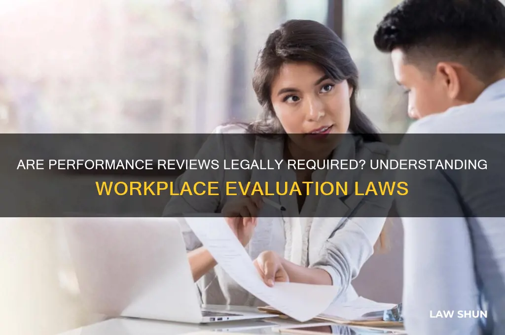 is it a law to give performance reviews