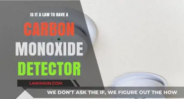 Carbon Monoxide Detectors: Legal Requirement or Safety Recommendation?