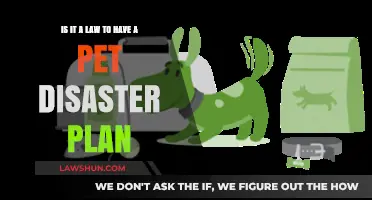 Is a Pet Disaster Plan Legally Required? What Owners Need to Know