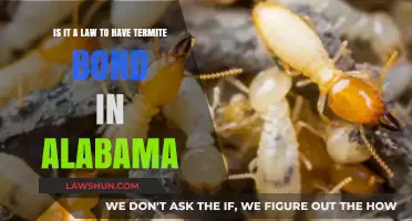 Alabama Termite Bond Law: Is It Mandatory for Homeowners?