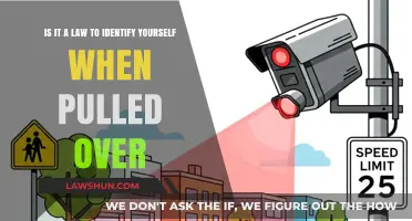 Must You Identify Yourself During a Traffic Stop? Legal Insights
