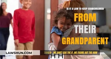 Grandparents' Rights: Legal Boundaries in Grandchild Visitation Explained