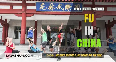 Is Kung Fu Mandatory in China? Unraveling the Legal Myth