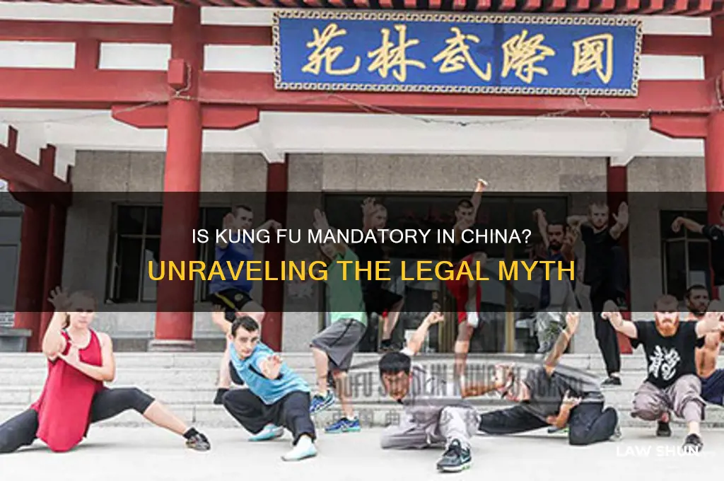 is it a law to learn kung fu in china