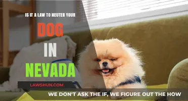 Nevada Dog Neuter Laws: What Owners Need to Know