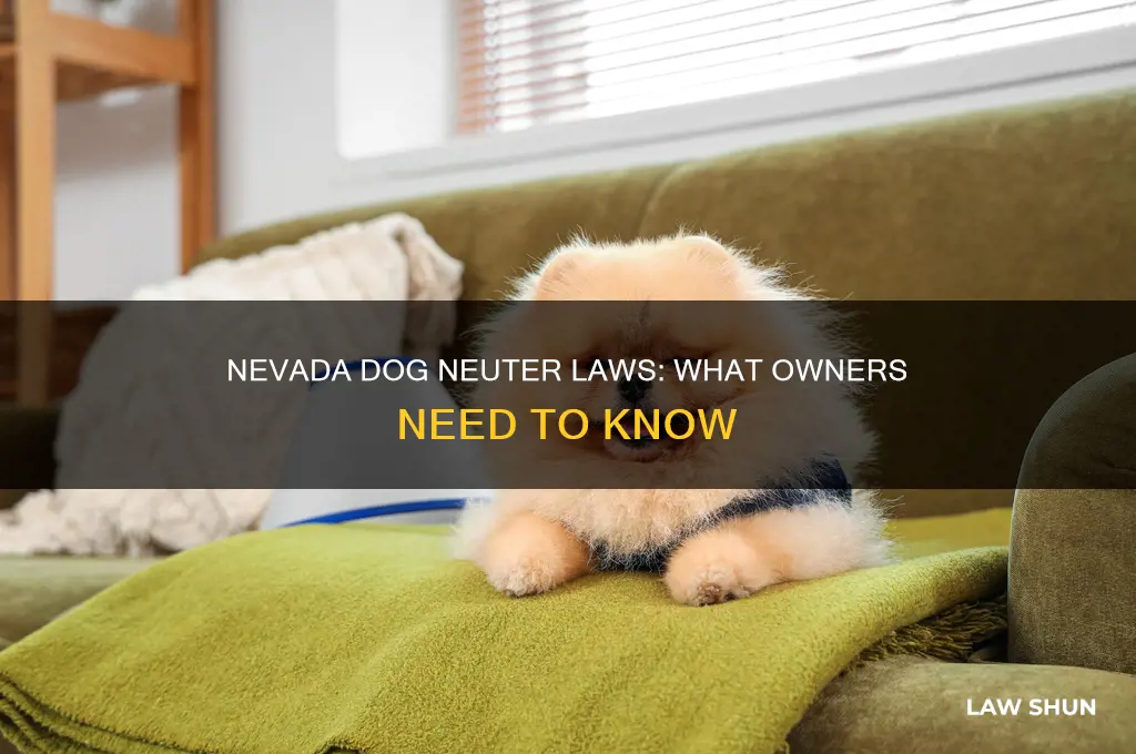 is it a law to neuter your dog in nevada