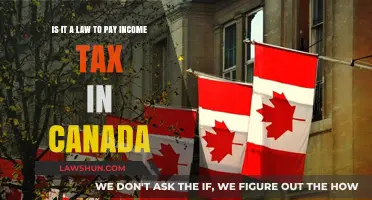 Income Tax in Canada: What's the Law?