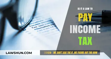 Paying Income Tax: What the Law Says
