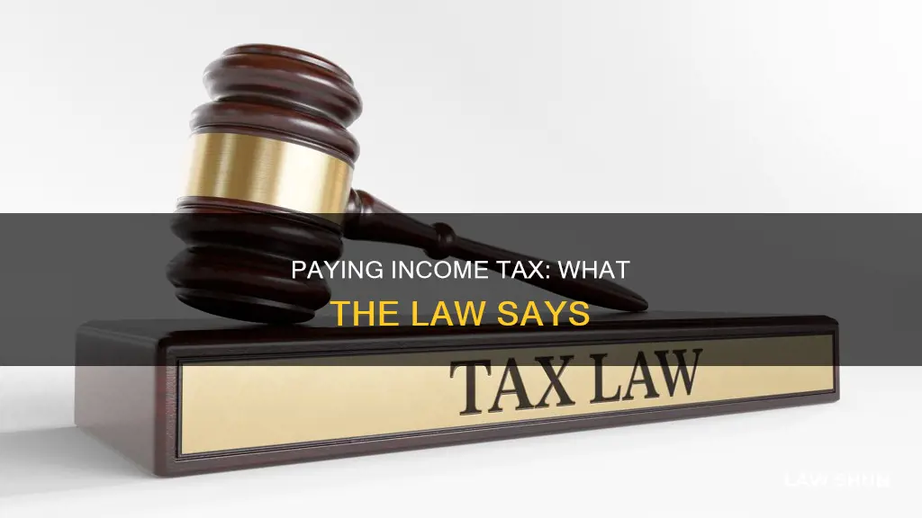 is it a law to pay income tax