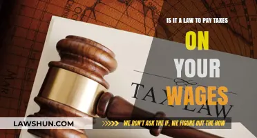 Paying Taxes on Wages: What the Law Says