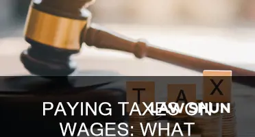 is it a law to pay taxes on your wages