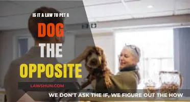 Is Petting Dogs the Opposite Way Legally Required?