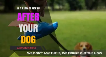 Dog Poop Laws: Are You Required to Pick Up After Your Pet?