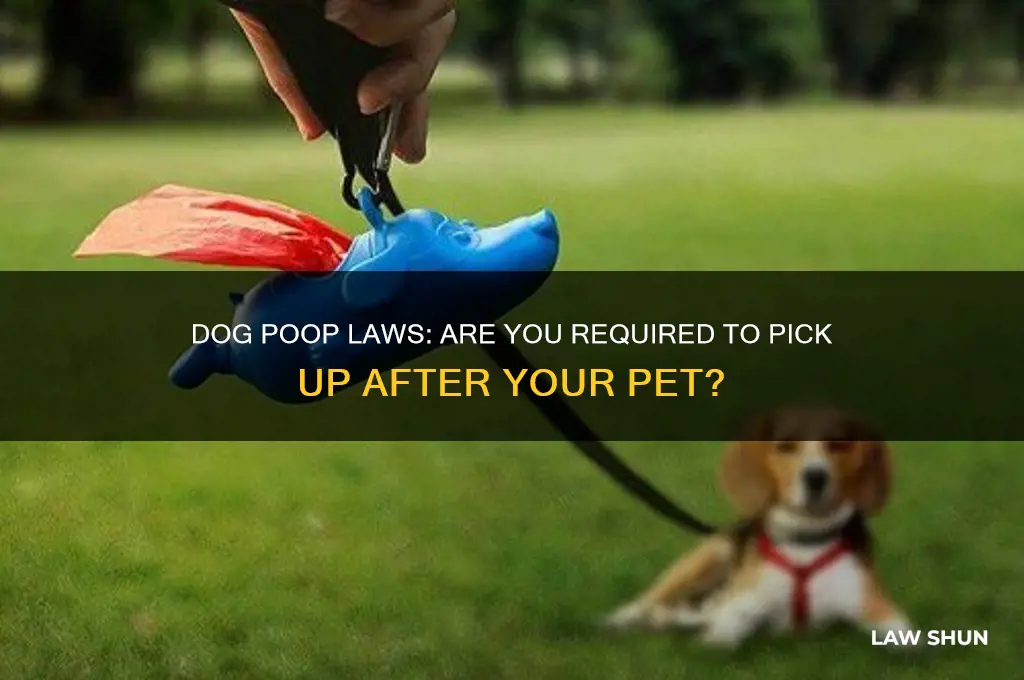 is it a law to pick up after your dog