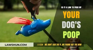 Dog Poop Laws: Legal Obligations for Pet Owners Explained