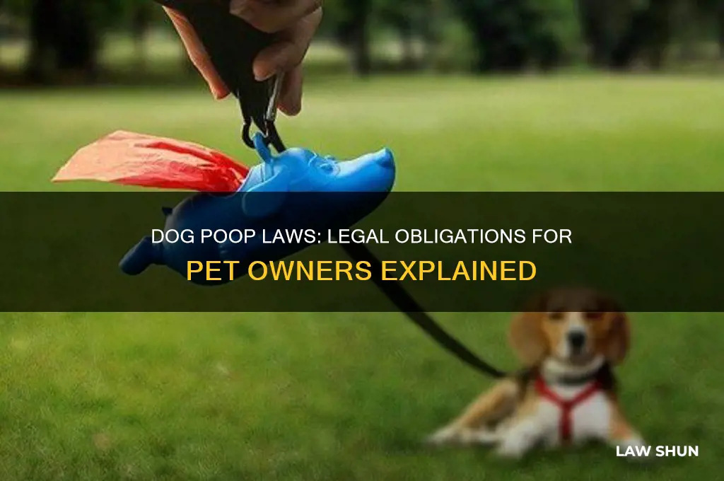 is it a law to pick up your dog