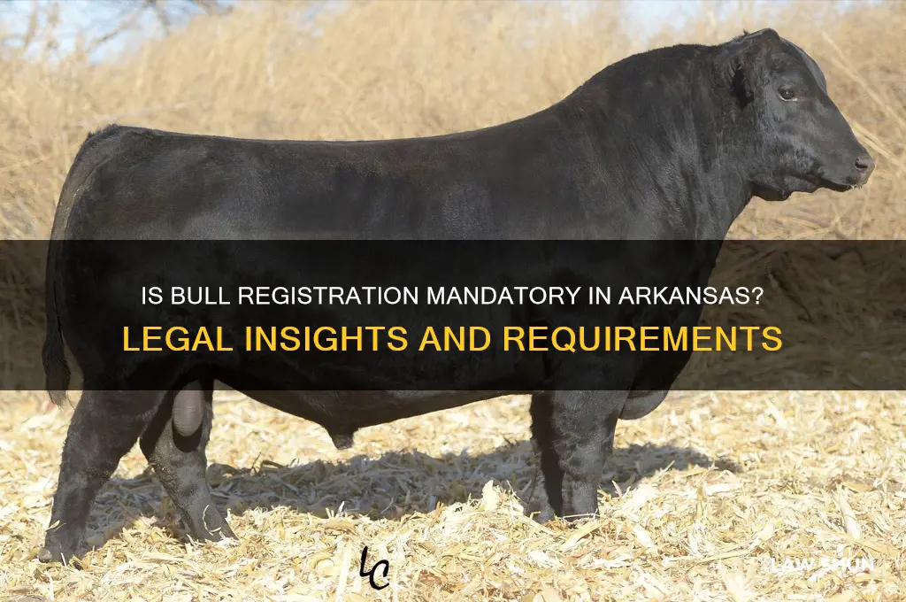 is it a law to register a bull in ar