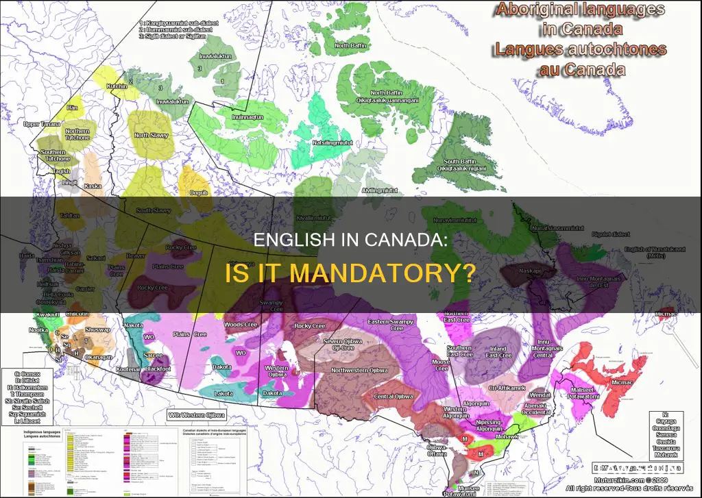 is it a law to speak english in canada