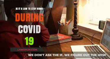 COVID-19 Stay-at-Home Orders: Legal Requirements Explained