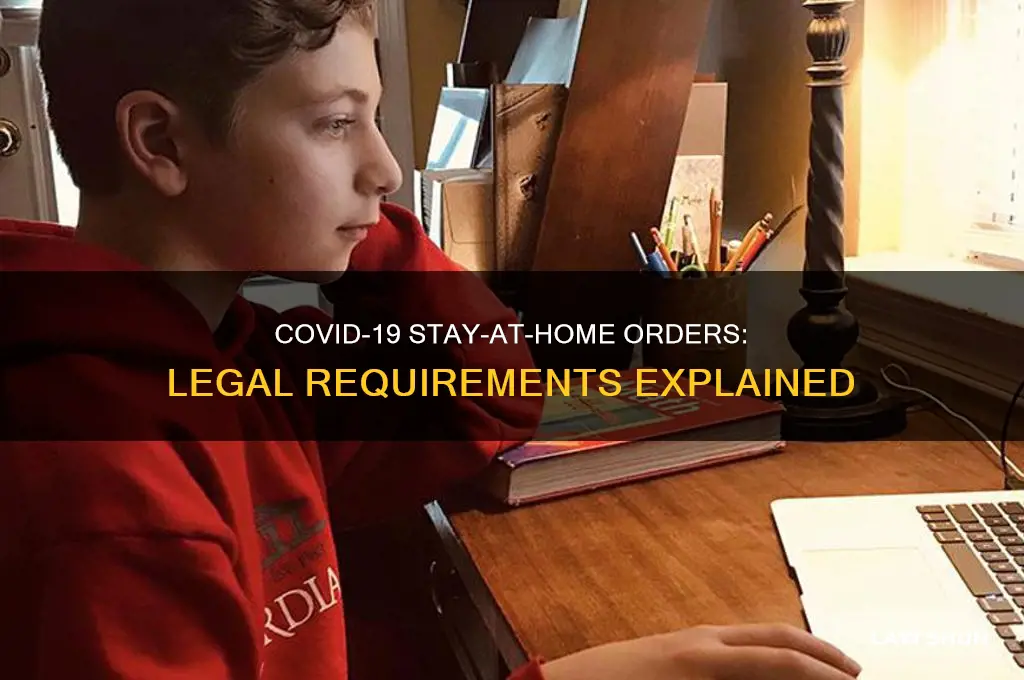 is it a law to stay home during covid 19