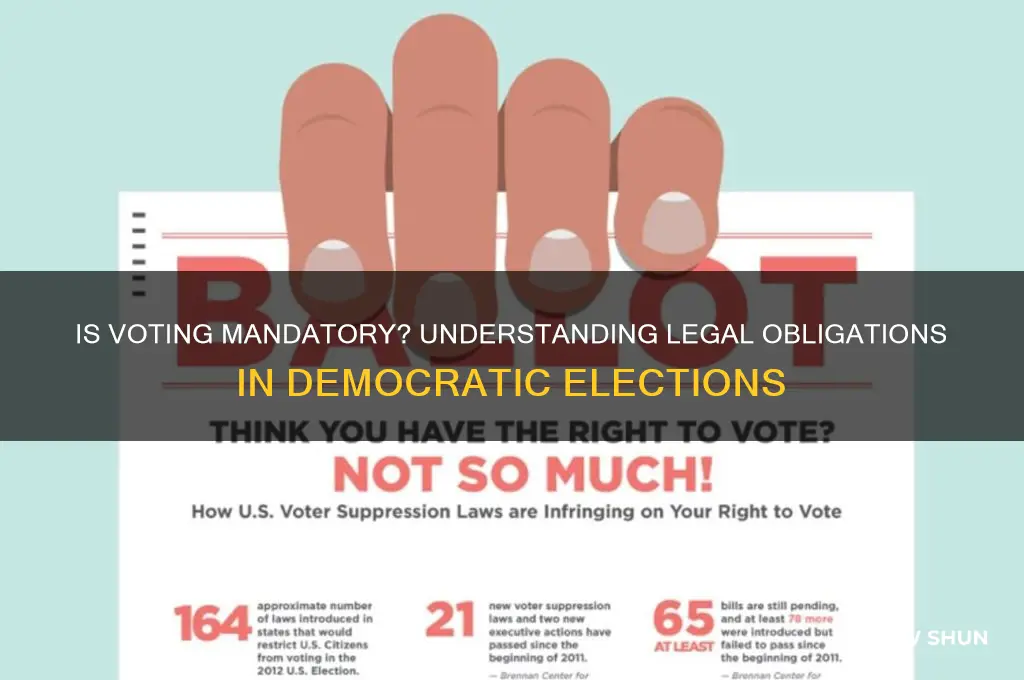 is it a law to vote