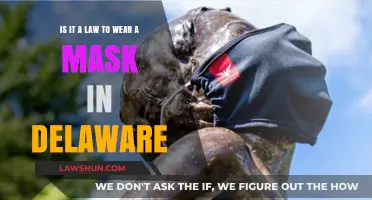 Delaware Mask Mandate: Legal Requirement or Personal Choice?