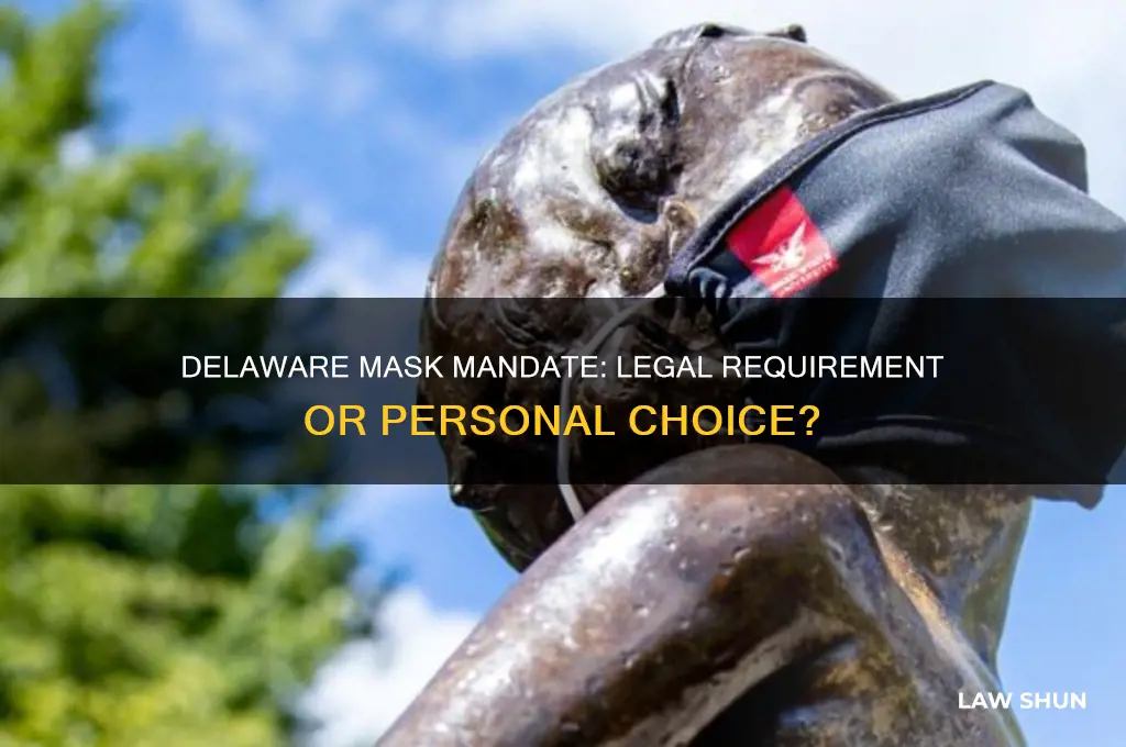 is it a law to wear a mask in delaware