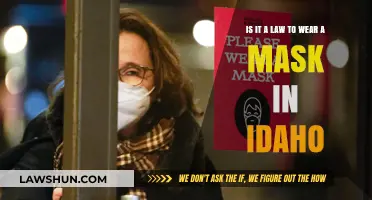 Idaho Mask Mandate: Legal Requirement or Personal Choice?