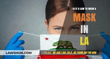 LA Mask Mandate: Legal Requirement or Personal Choice?