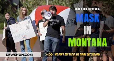 Montana Mask Mandate: Legal Requirement or Personal Choice?
