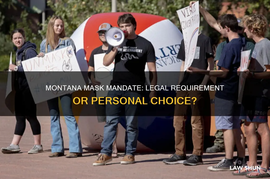 is it a law to wear a mask in montana
