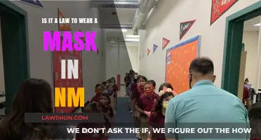 NM Mask Mandate: Legal Requirement or Personal Choice in New Mexico?