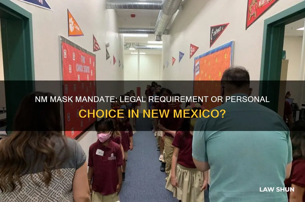 is it a law to wear a mask in nm