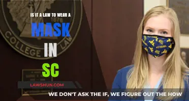Is Mask-Wearing Mandatory in South Carolina? Legal Insights Explained